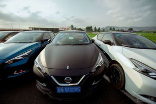 汽车游戏网页版（汽车游戏网页版，速度与激情的在线体验）