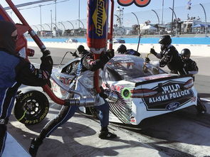 race car(极速赛道,赛车运动的无尽激情)