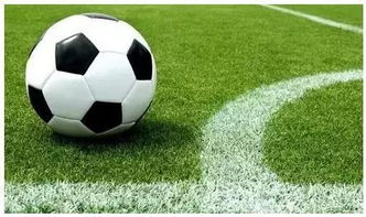 绿茵吧足球游戏网（绿茵吧足球游戏网，探索虚拟足球世界的乐园）