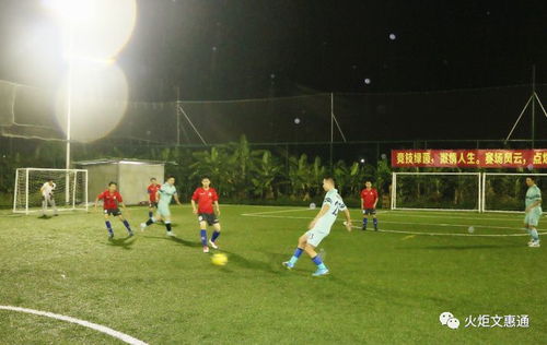 足球推荐（足球推荐，带你领略精彩纷呈的足球世界）