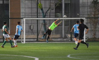 足球免费直播（足球盛宴，免费直播的魅力与影响）