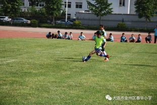 zuqiu（足球的魅力与激情）