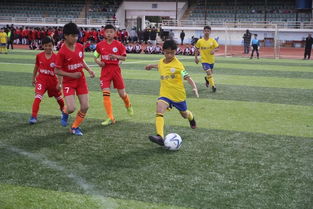 踢足球（踢足球，运动激情与团队协作的完美结合）