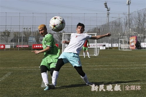 足球比赛视频（足球比赛视频的魔力与魅力）