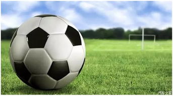 足球比赛（足球比赛，激情与策略的碰撞）