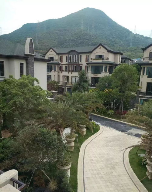 欢乐谷最新网址（欢乐谷最新网址，探索欢乐的新领地）