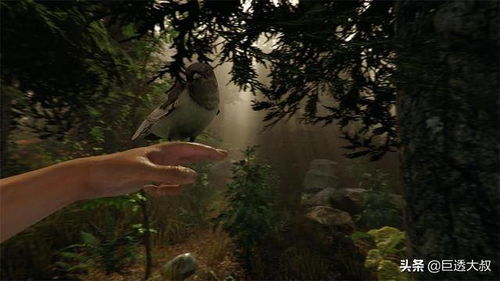 pc游戏推荐（PC游戏推荐，精选佳作，不容错过）