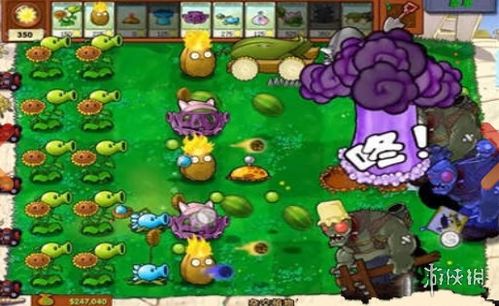 植物大战 僵尸(植物大战僵尸,自然界的生存之战)