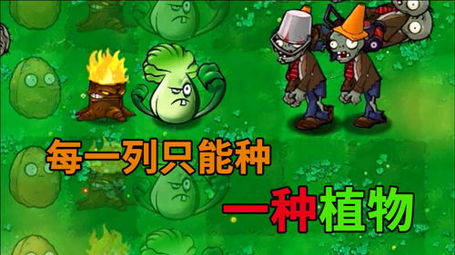 植物大战僵尸。(植物大战僵尸,一场别开生面的绿色战役)
