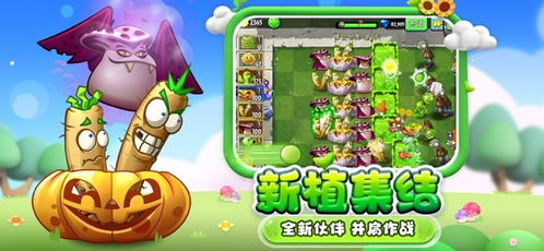 植物大战僵尸原版下载免费(重温经典,植物大战僵尸原版免费下载攻略)