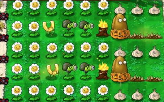 植物大战僵尸电脑版下载(植物大战僵尸电脑版下载攻略)