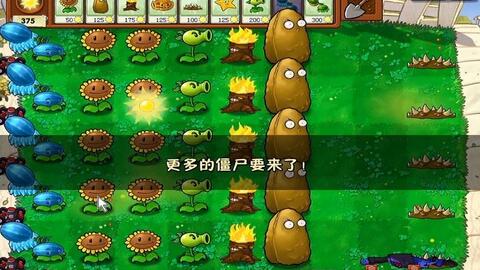 大战僵尸(大战僵尸,生存与勇气的较量)